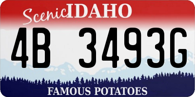 ID license plate 4B3493G