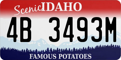 ID license plate 4B3493M
