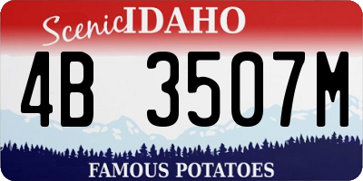 ID license plate 4B3507M