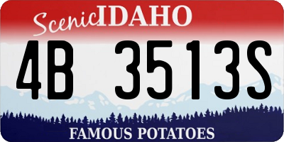 ID license plate 4B3513S