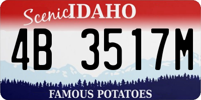 ID license plate 4B3517M