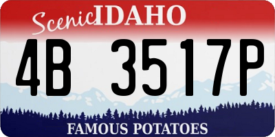 ID license plate 4B3517P