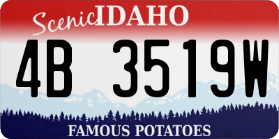 ID license plate 4B3519W
