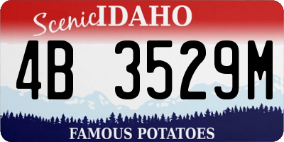ID license plate 4B3529M