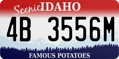 ID license plate 4B3556M