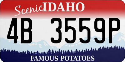 ID license plate 4B3559P