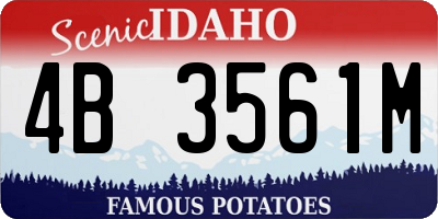 ID license plate 4B3561M