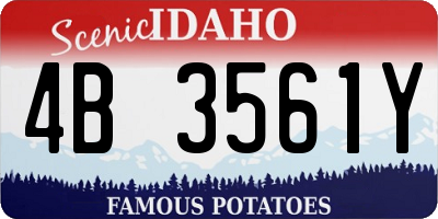 ID license plate 4B3561Y