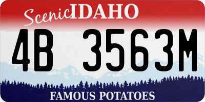 ID license plate 4B3563M