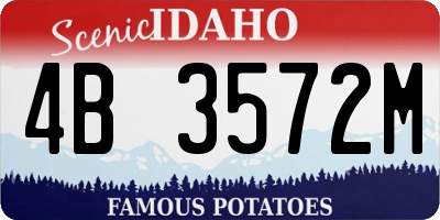 ID license plate 4B3572M