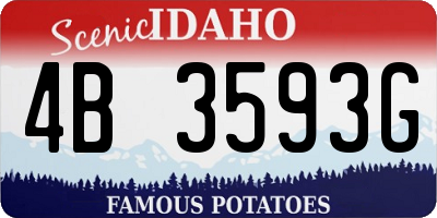 ID license plate 4B3593G
