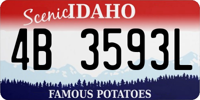 ID license plate 4B3593L