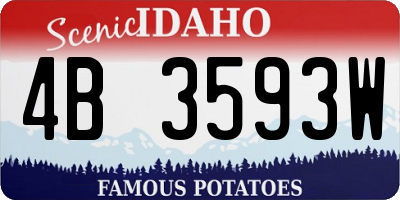ID license plate 4B3593W