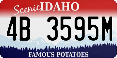 ID license plate 4B3595M