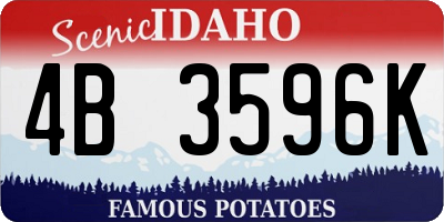 ID license plate 4B3596K
