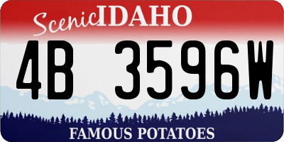 ID license plate 4B3596W