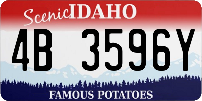 ID license plate 4B3596Y