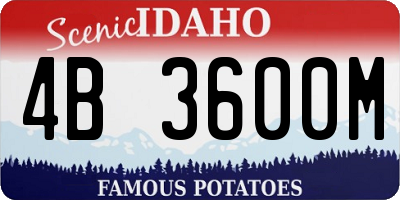 ID license plate 4B3600M
