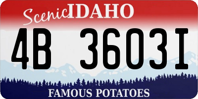 ID license plate 4B3603I