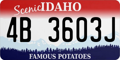 ID license plate 4B3603J
