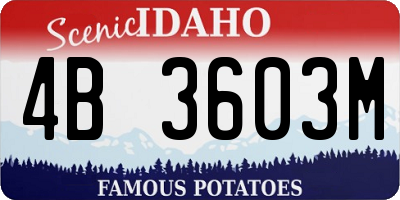 ID license plate 4B3603M