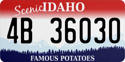 ID license plate 4B3603O