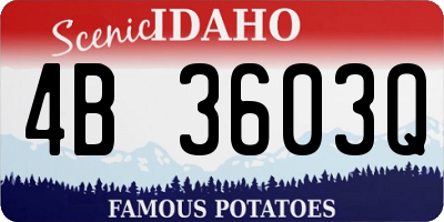 ID license plate 4B3603Q