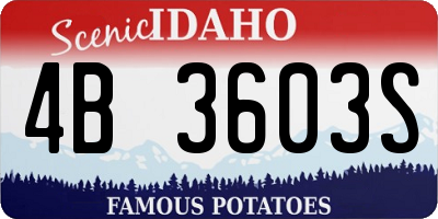 ID license plate 4B3603S