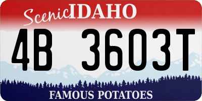 ID license plate 4B3603T