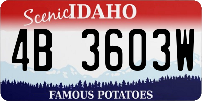 ID license plate 4B3603W