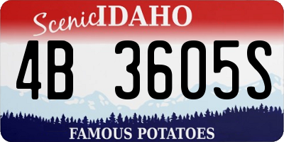 ID license plate 4B3605S