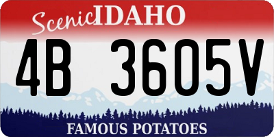 ID license plate 4B3605V