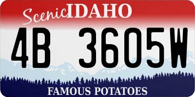 ID license plate 4B3605W