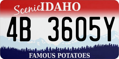 ID license plate 4B3605Y