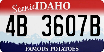 ID license plate 4B3607B
