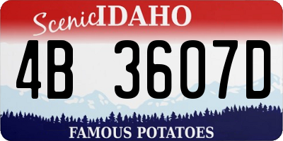 ID license plate 4B3607D