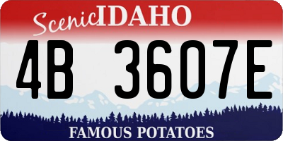 ID license plate 4B3607E