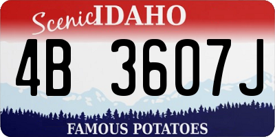 ID license plate 4B3607J