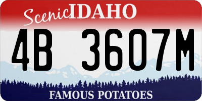 ID license plate 4B3607M