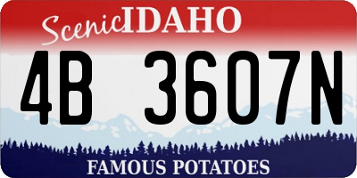 ID license plate 4B3607N