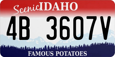 ID license plate 4B3607V