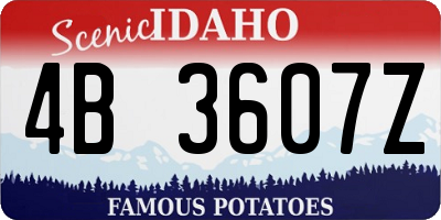 ID license plate 4B3607Z