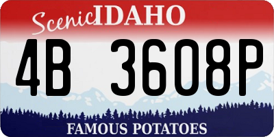 ID license plate 4B3608P