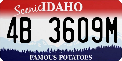ID license plate 4B3609M