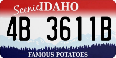 ID license plate 4B3611B