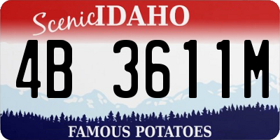 ID license plate 4B3611M