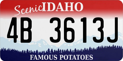 ID license plate 4B3613J