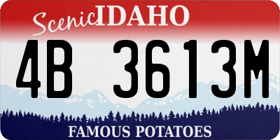 ID license plate 4B3613M