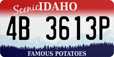 ID license plate 4B3613P