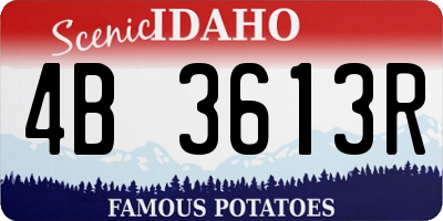 ID license plate 4B3613R